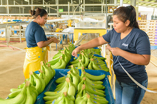 Chiquita relève le défi de l’autonomisation des femmes - 3