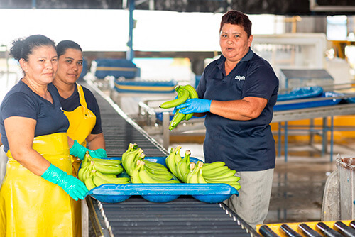 Chiquita relève le défi de l’autonomisation des femmes - 5