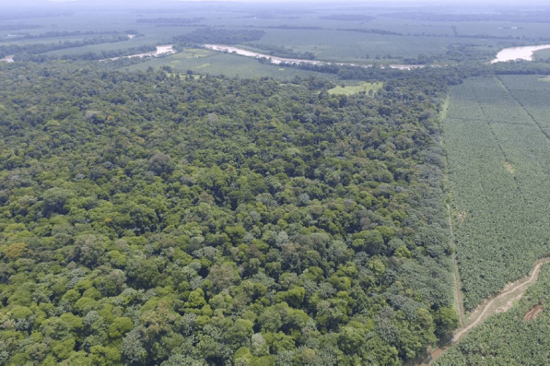 NOGAL_Zone Nogal_crédits Ana Laura Masis