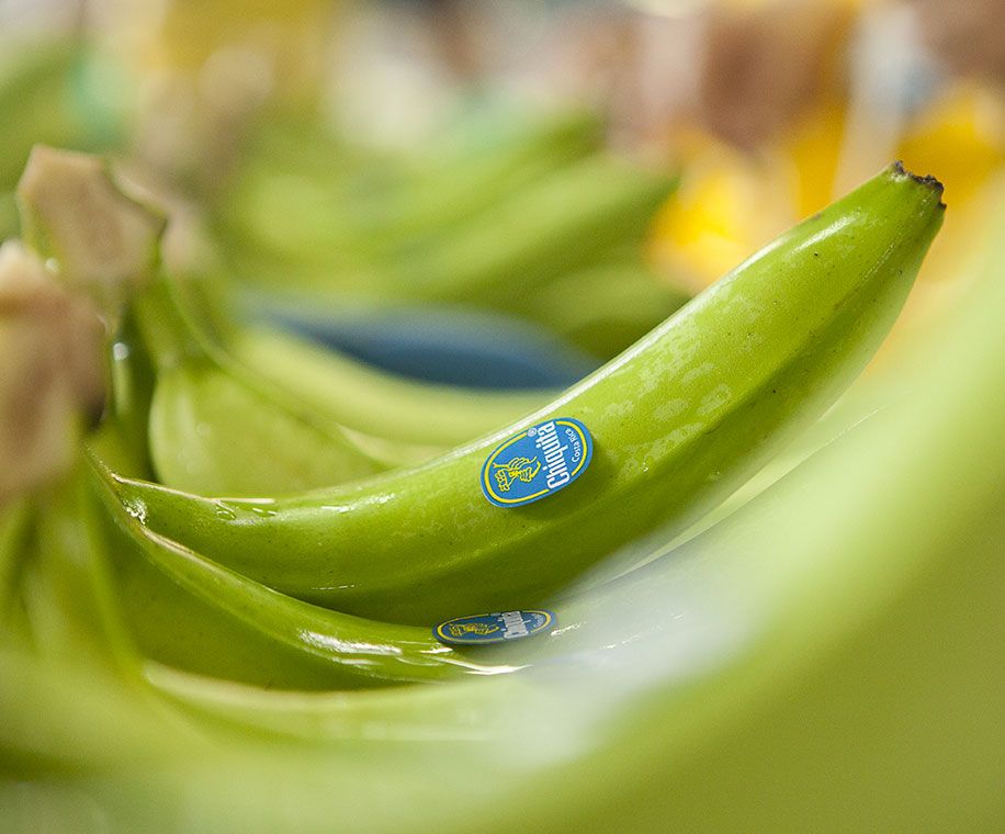 Marque de bananes Chiquita, développement durable