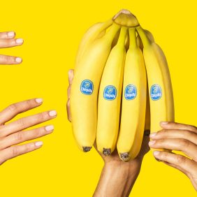 Valeur nutritionnelle de la banane :  les bananes sont-elles bonnes pour la santé ?