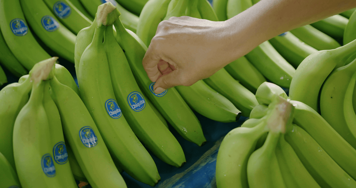 Chiquita Derrière l'autocollant bleu plaçant l'autocollant