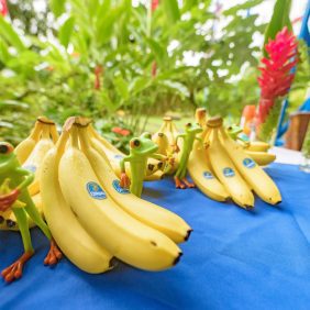 Chiquita s’engage à protéger la réserve de Nogal pendant 10 années supplémentaires à l’occasion de son 20ème anniversaire